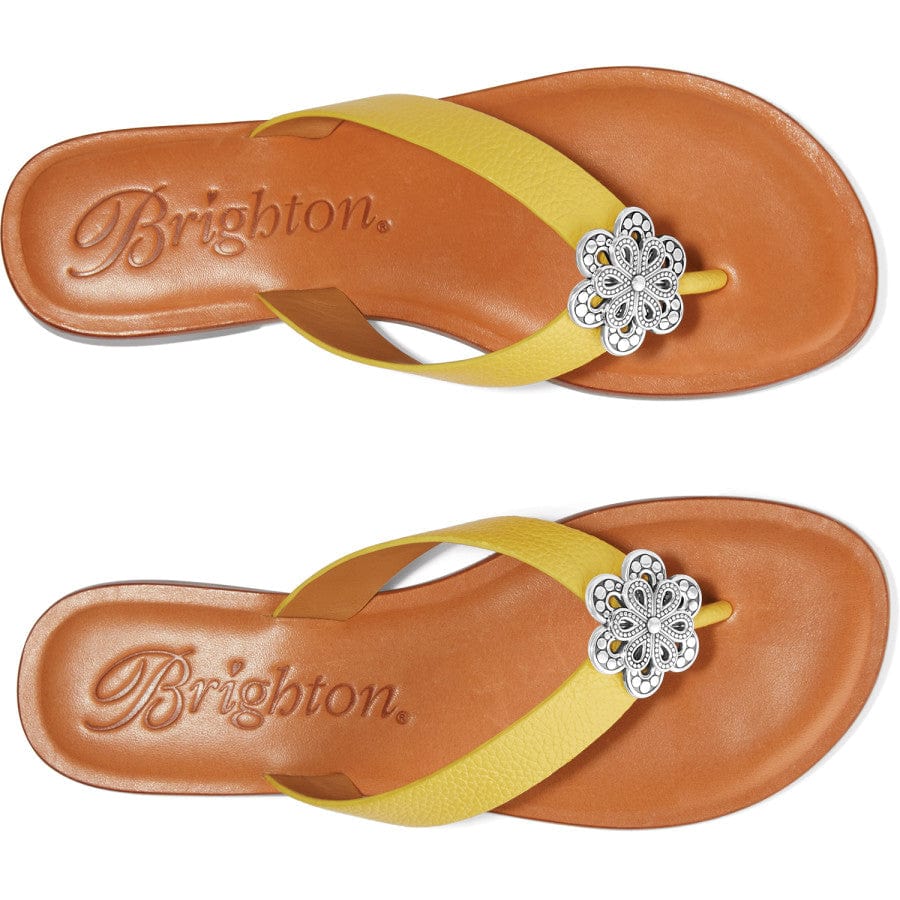 Aster Flower Thongs - Image 15